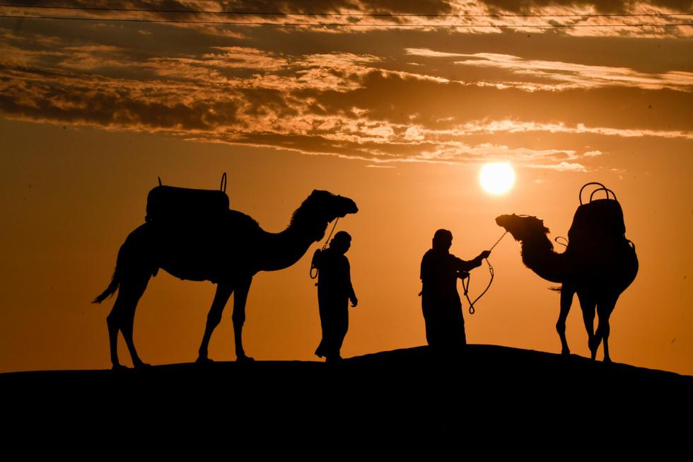 Ica-04: Paseo en Camello - Experiencia Inolvidable en el Desierto