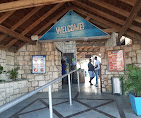 Pier One Seafood Restaurant/ Bar Tour Montego Bay