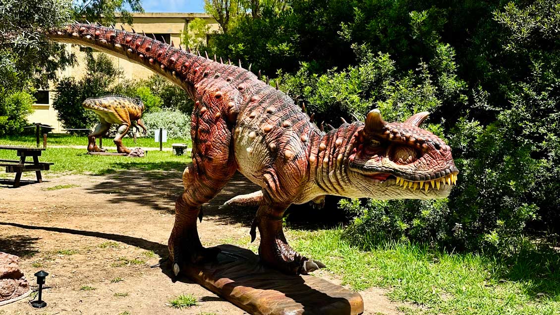 Discover dinosaurs in Porto Conte Park in Alghero - Photo 7