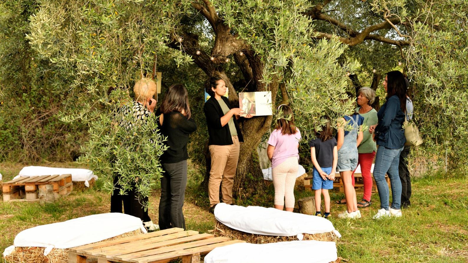 Tortolì: visit to an oil mill and oil tasting in Lotzorai - Photo 4