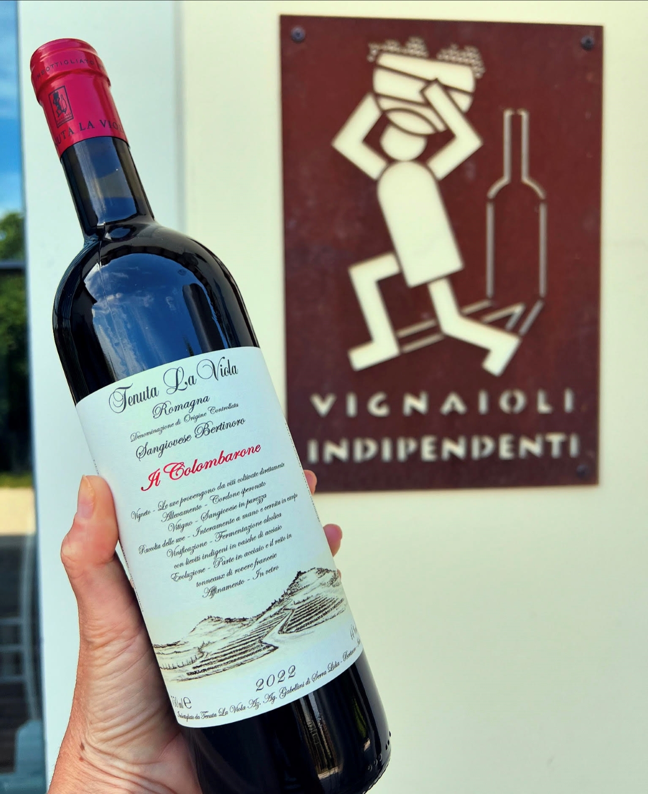 Discover Italian Wines: Exclusive 6 Wine Tastings at Tenuta La Viola - Photo 9