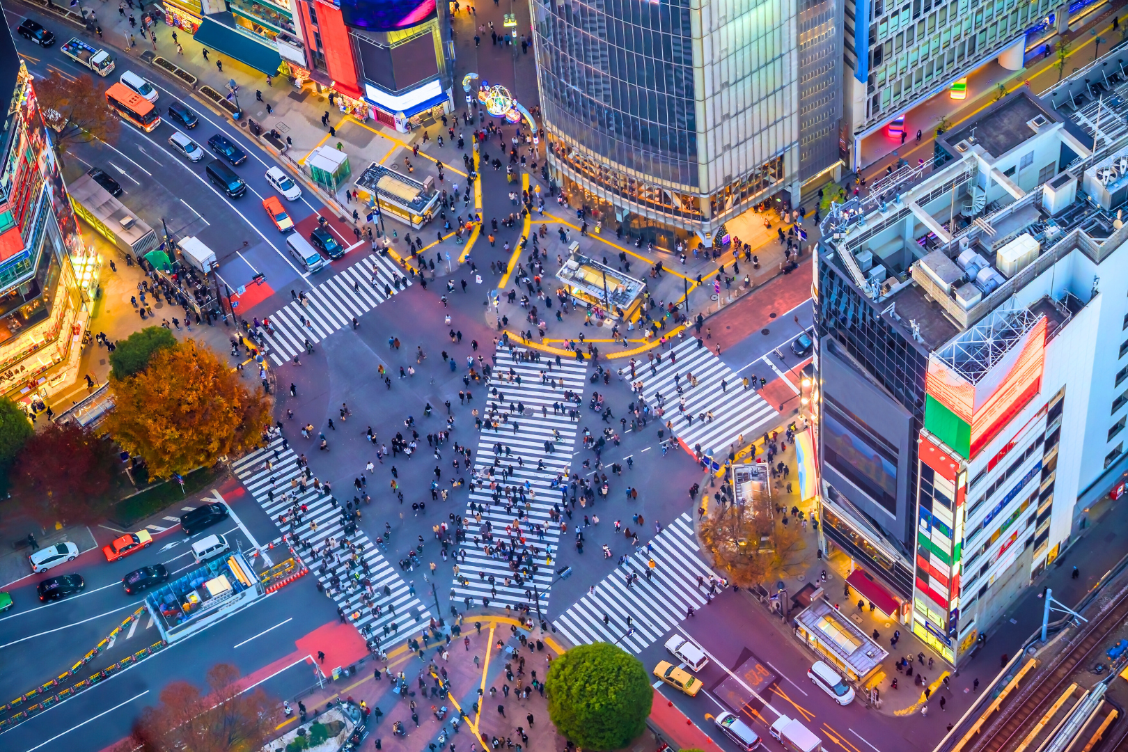 Asakusa Su Busesi, Sensoji, Sumida Nehri, Hama-Rikyu Bahçesi, Shibuya Kavşağı| Tokyo Klasik Turu