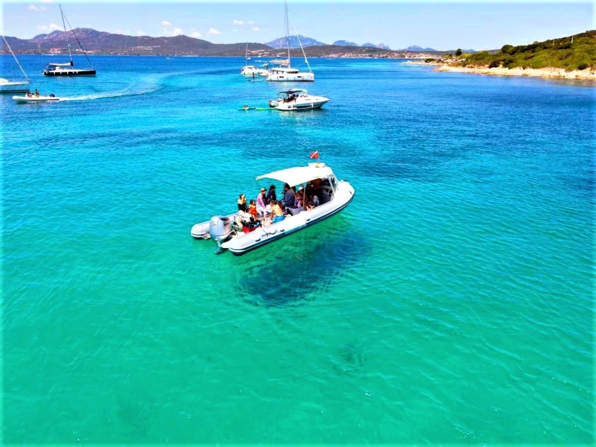 From Olbia: RIB tour to Capo Figari with dolphin sighting - Photo 6