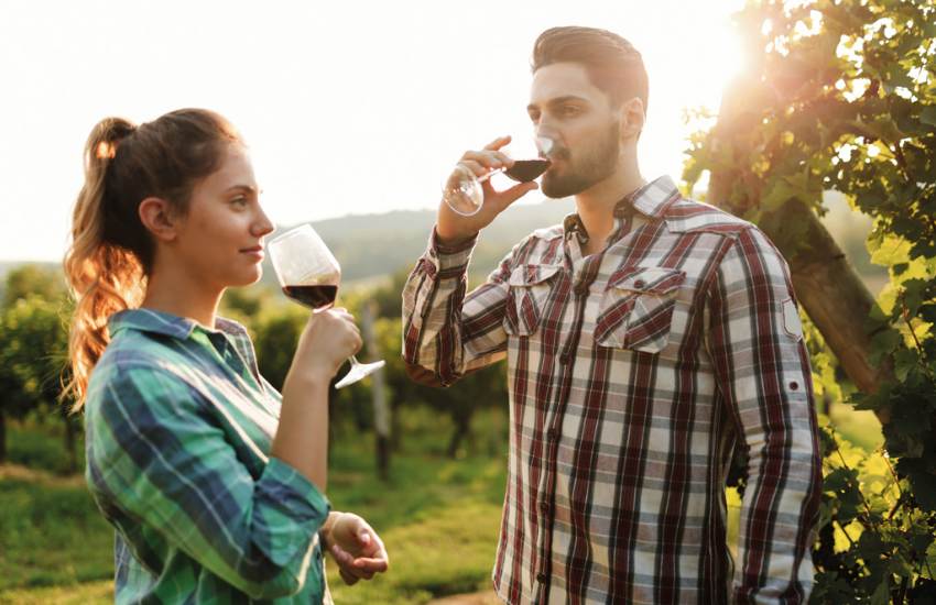 San Gimignano Wine Tasting & Tuscan Dinner at a Local Winery - Photo 6