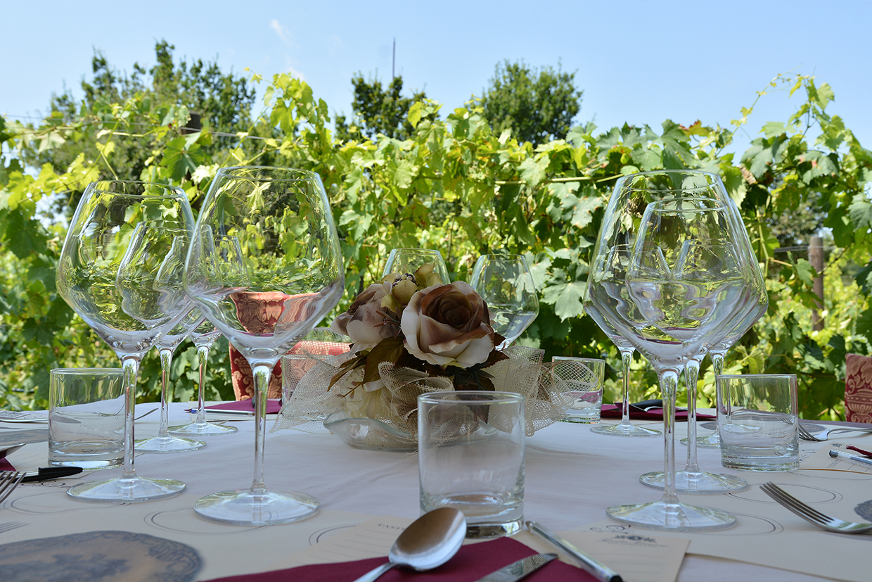Vineyard Canopy Dinner & Wine Tasting in San Gimignano countryside - Photo 8