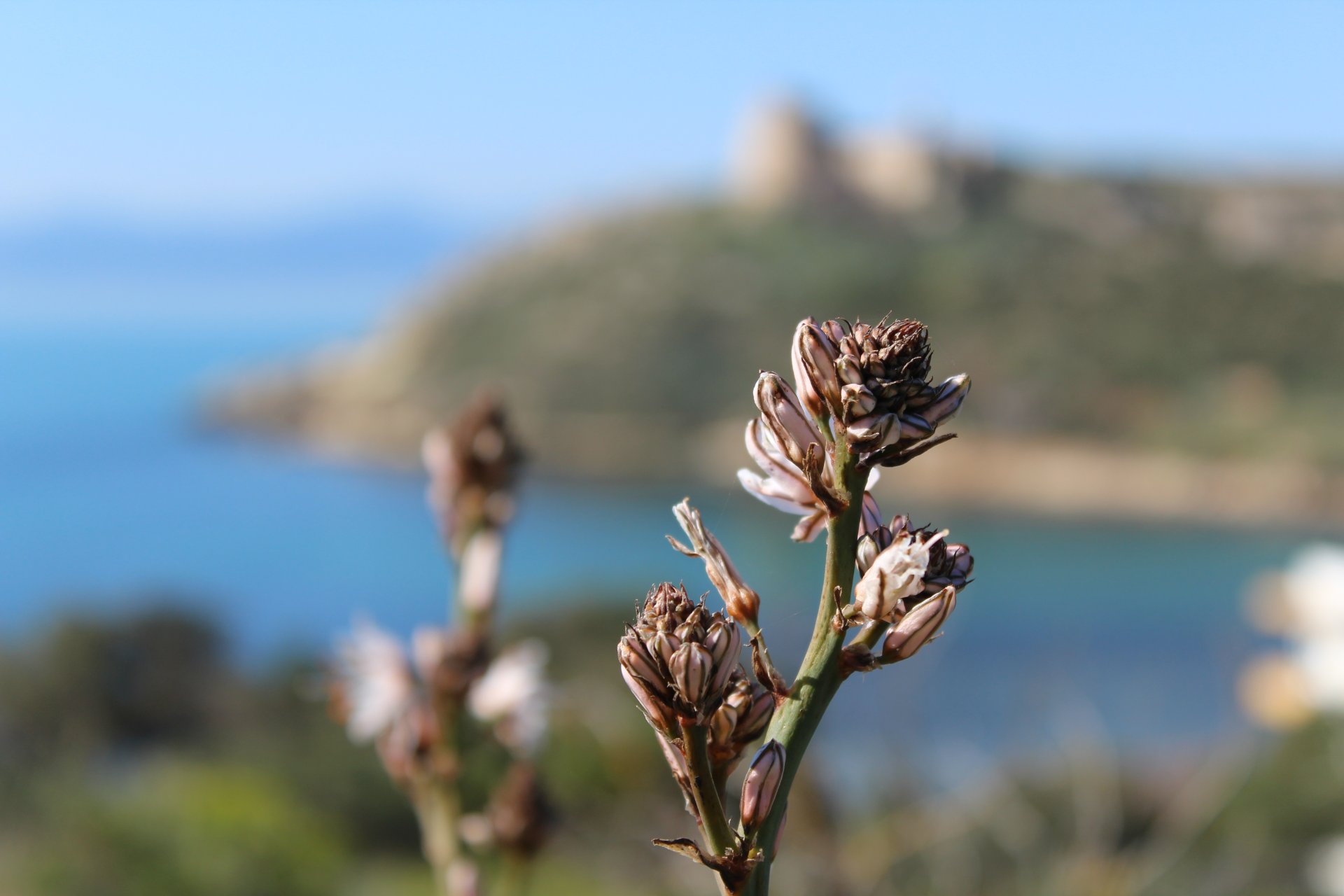 Cagliari: trekking to the Sella del Diavolo - Photo 3