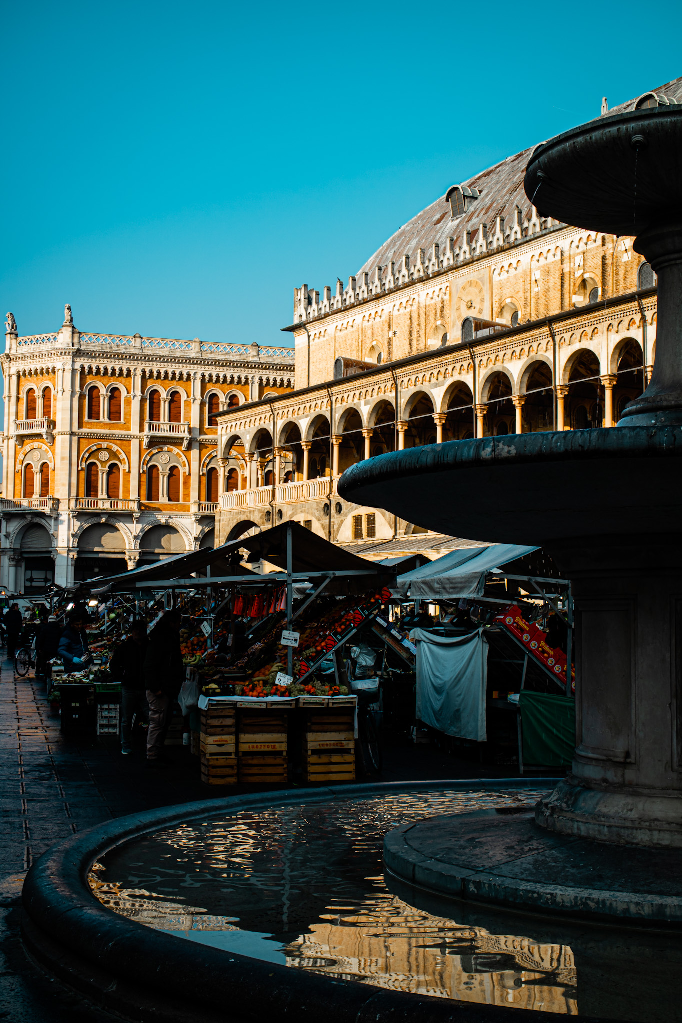 Experience Padua like a local from Venice - Photo 8