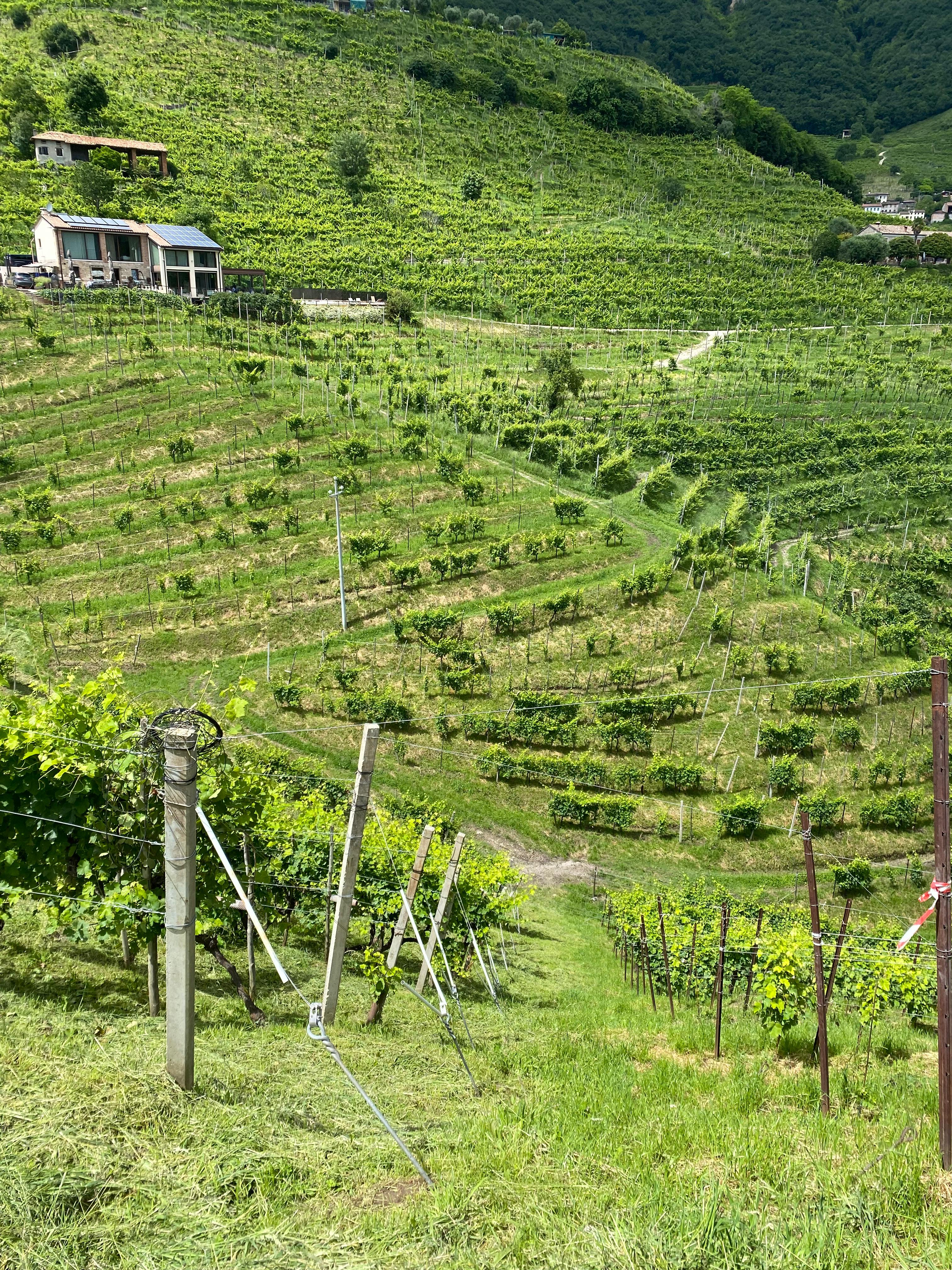 Prosecco Hills wine tour - Photo 5