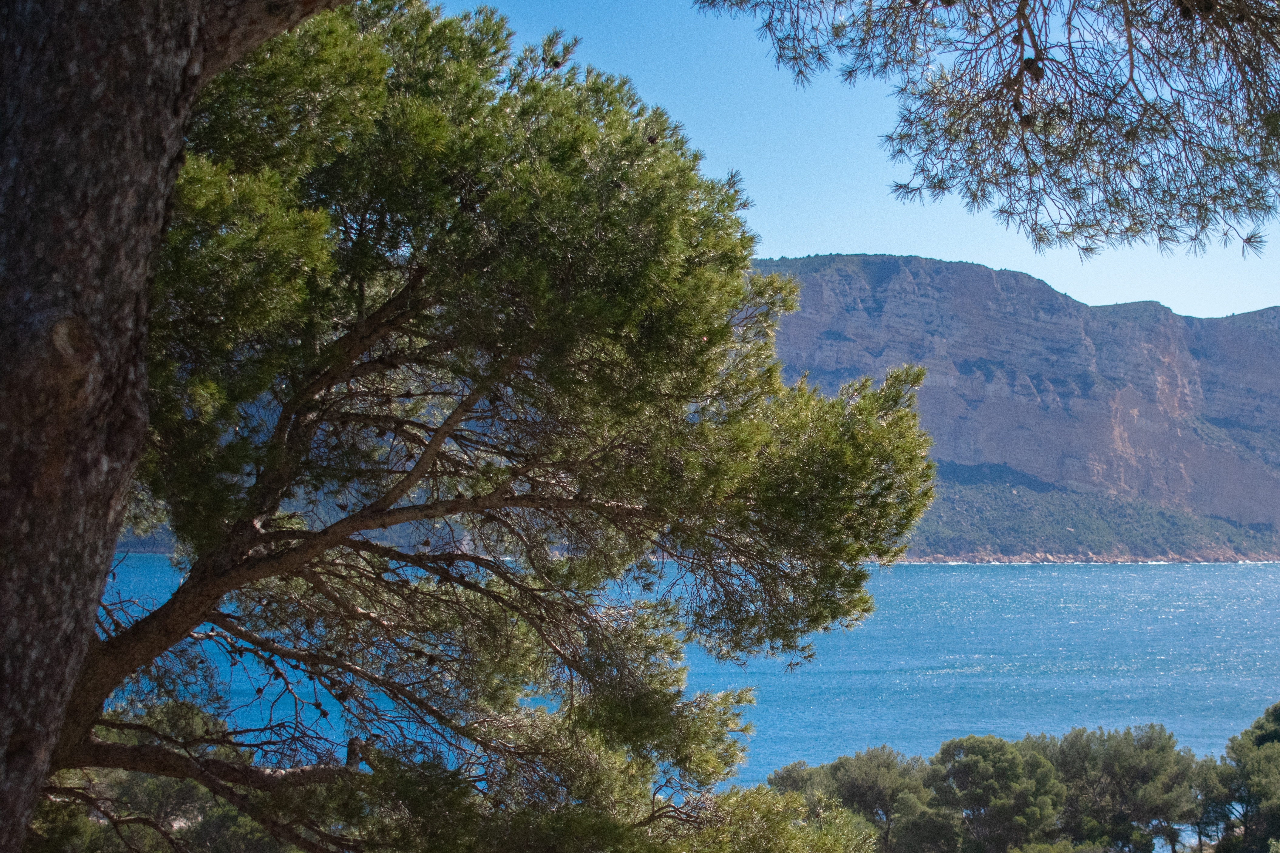 Hiking in the Calanques national park from Luminy  - Photo 2