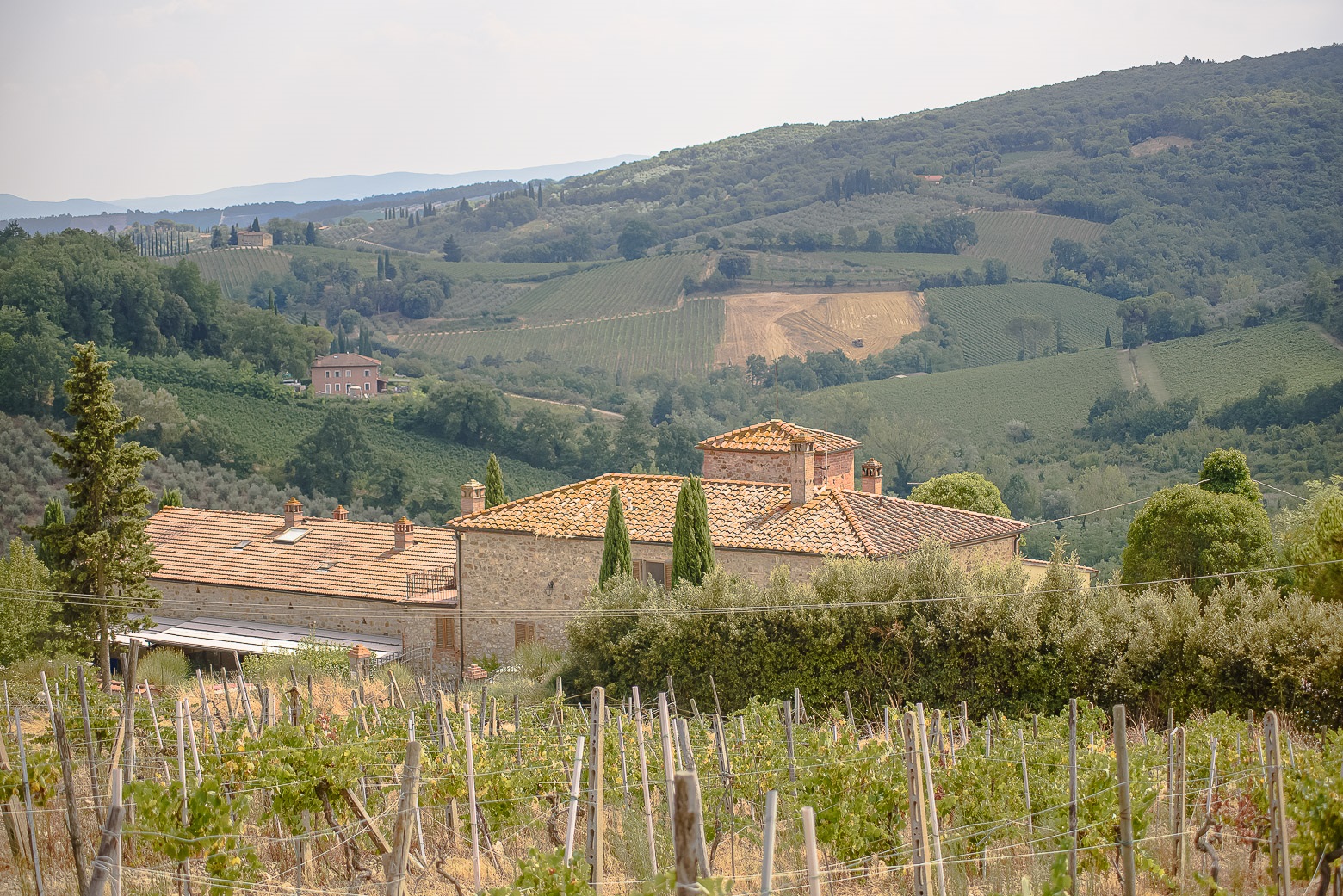 Small-Group Winery Tour with Tasting and Dinner in Chianti - Photo 136
