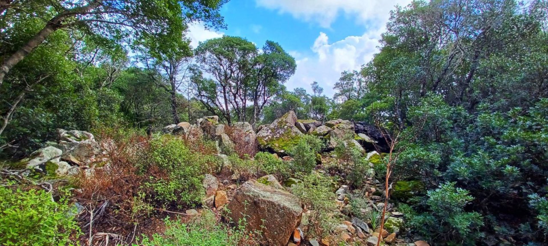 Castiadas: trekking in the S'Acqua Callenti forest - Photo 21