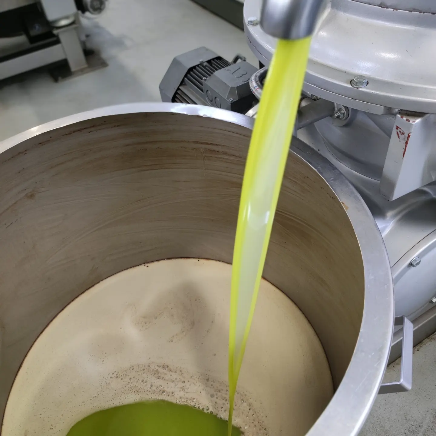 Discovering extra virgin olive oil - Photo 9