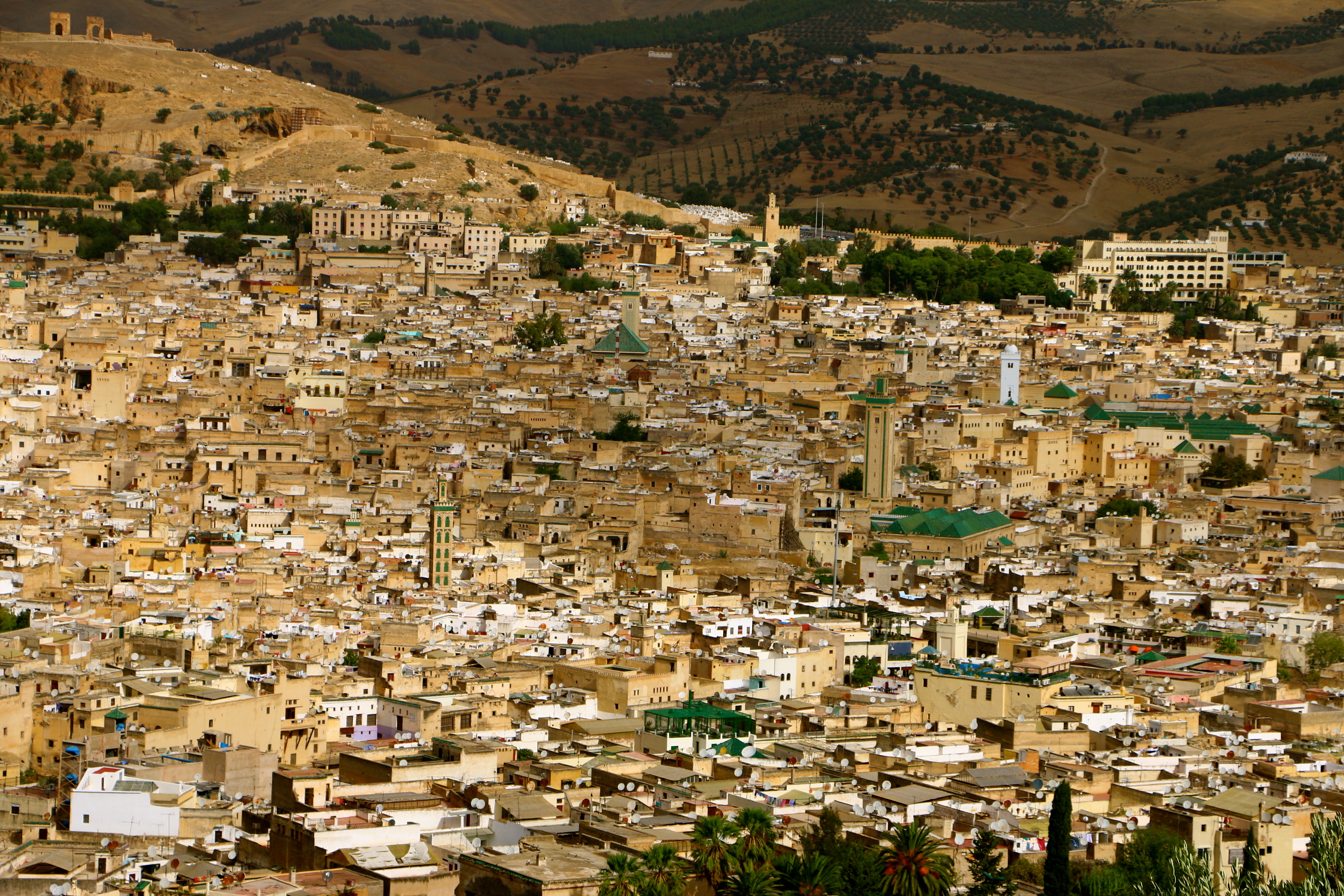 Visita guiada privada de día completo a la ciudad de Fez