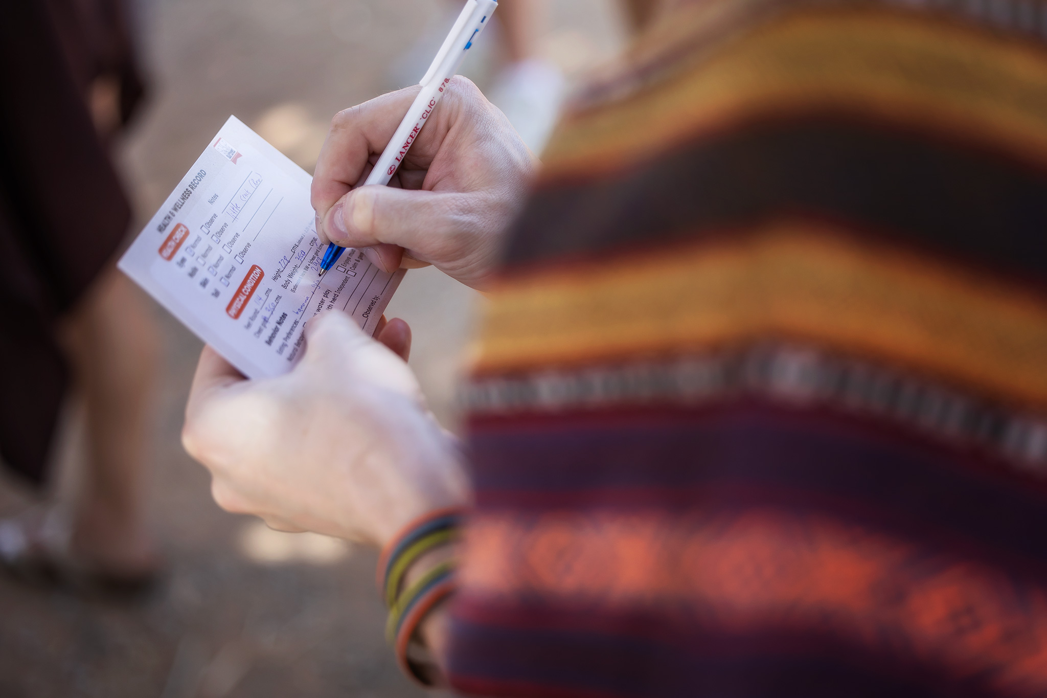 Chiang Mai: Tam Gün Deneyim