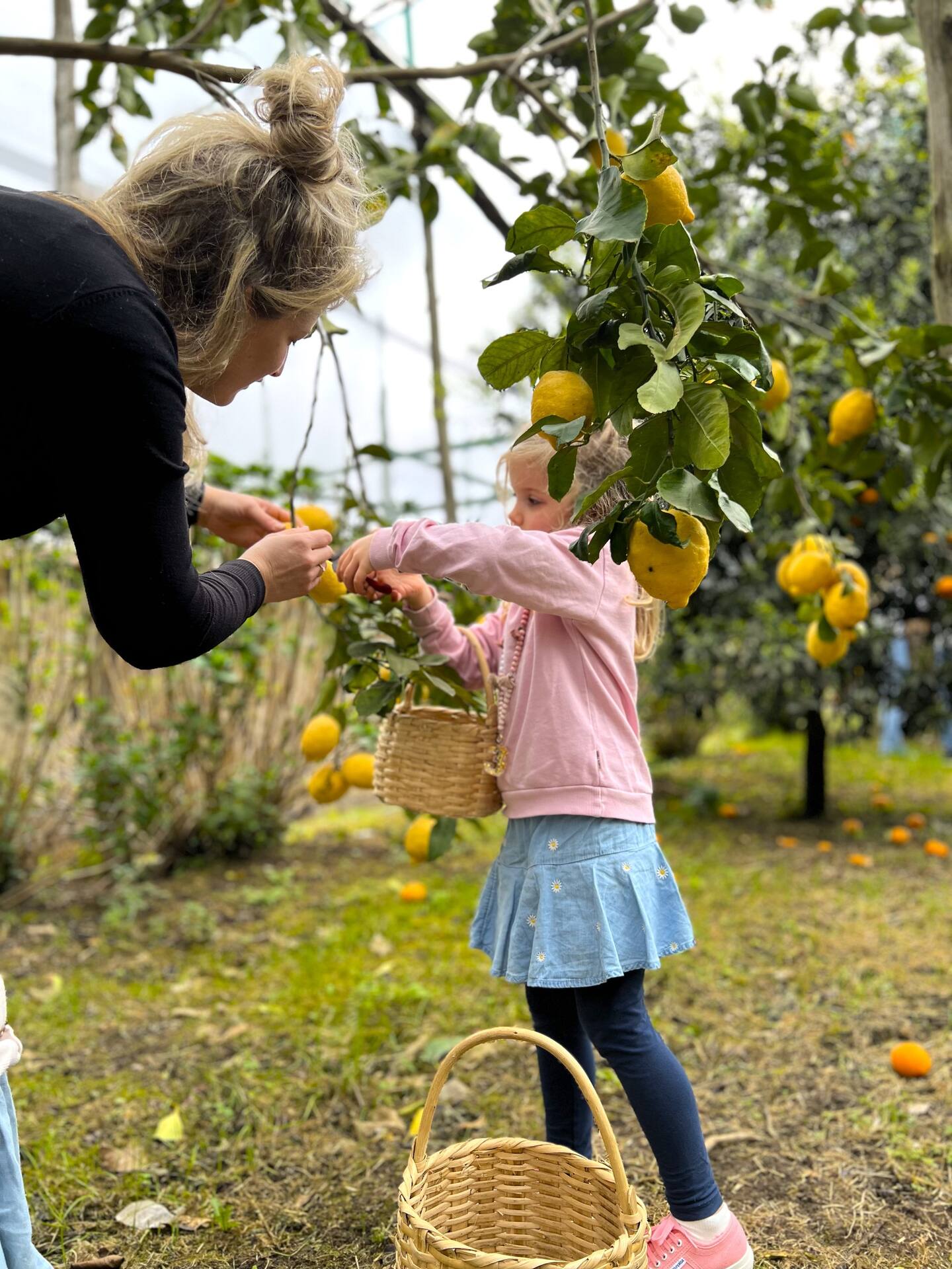Sorrento: Authentic Lemon Experience at a Local Farmhouse - Photo 8