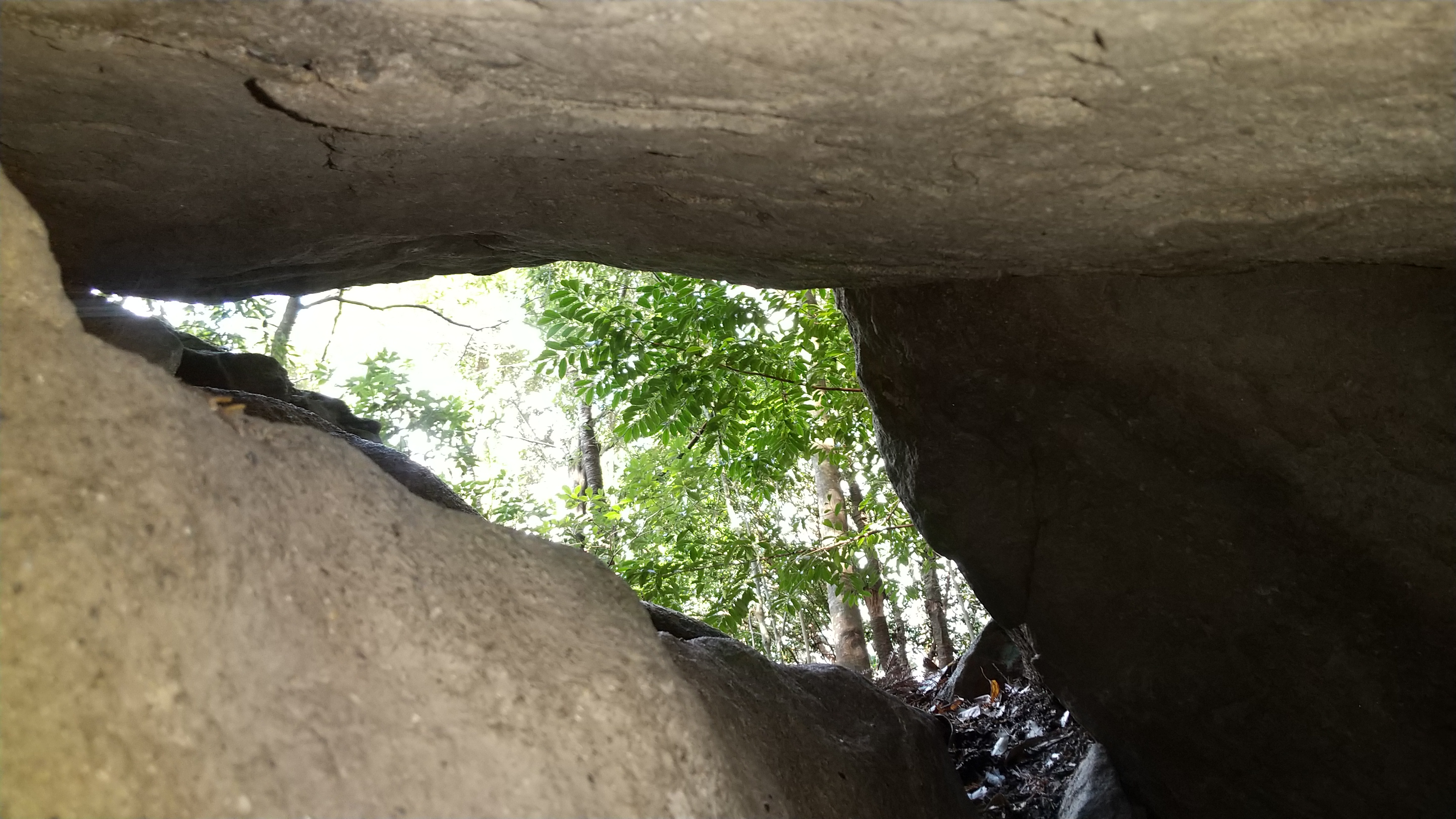 ���_�����Ԋ�����Ђ̃C���[�W