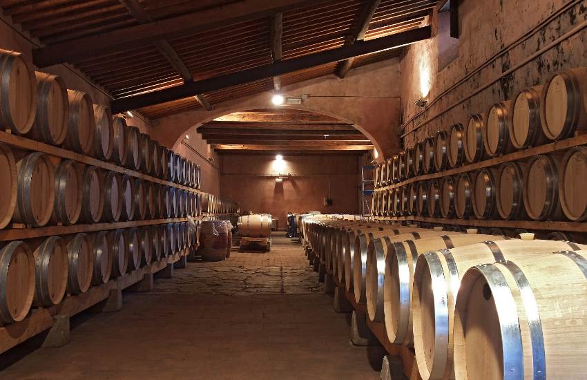 Brunello di Montalcino Wine tour from San Gimignano  - Photo 3