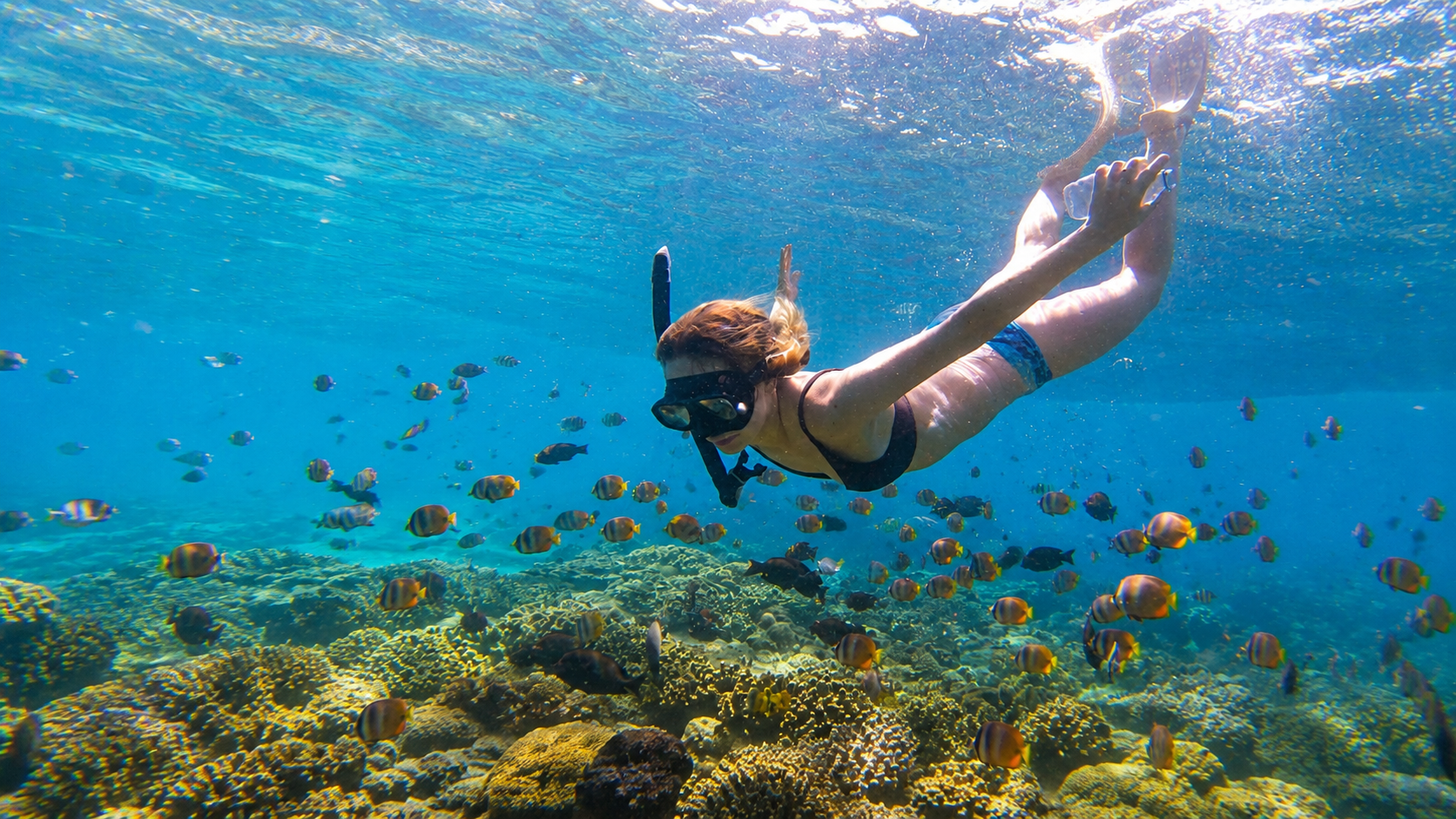 Snorkel en Laguna Azul con bote privado, guía y traslado