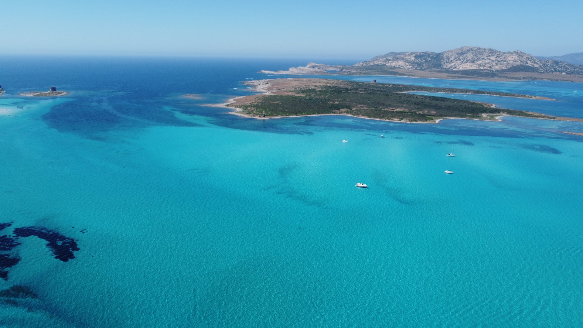 From Stintino: RIB tour in the gulf of Asinara - Photo 12