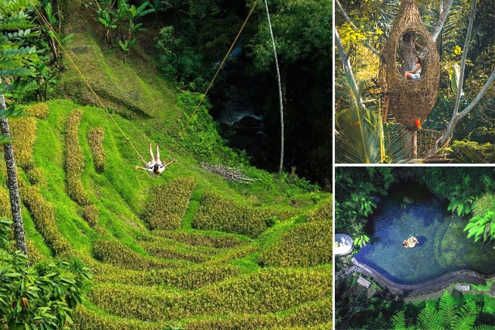 Ubud - Columpio en la jungla - Bosque de los monos - Cascada - Templo del agua - Wi-Fi GRATUITO - Foto 5