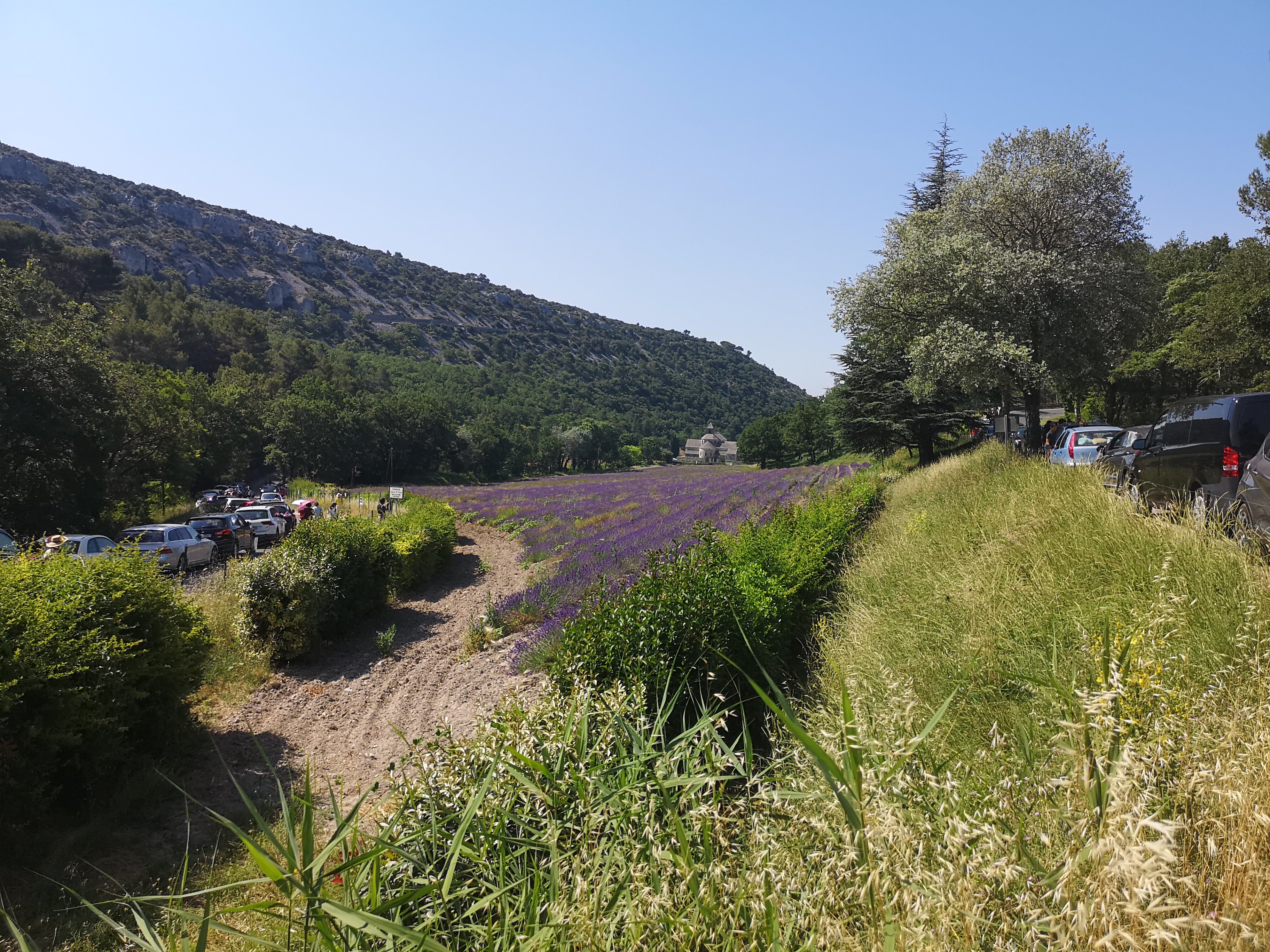 Marseille Shore Excursion: Private Day Trip to Luberon Villages - Photo 4