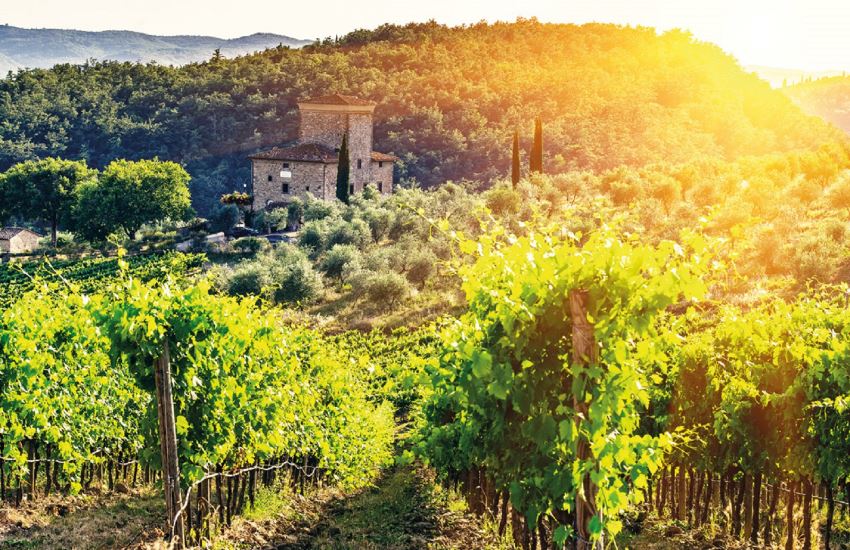 Siena & Chianti Half Day Wine Tour ES - Photo 6