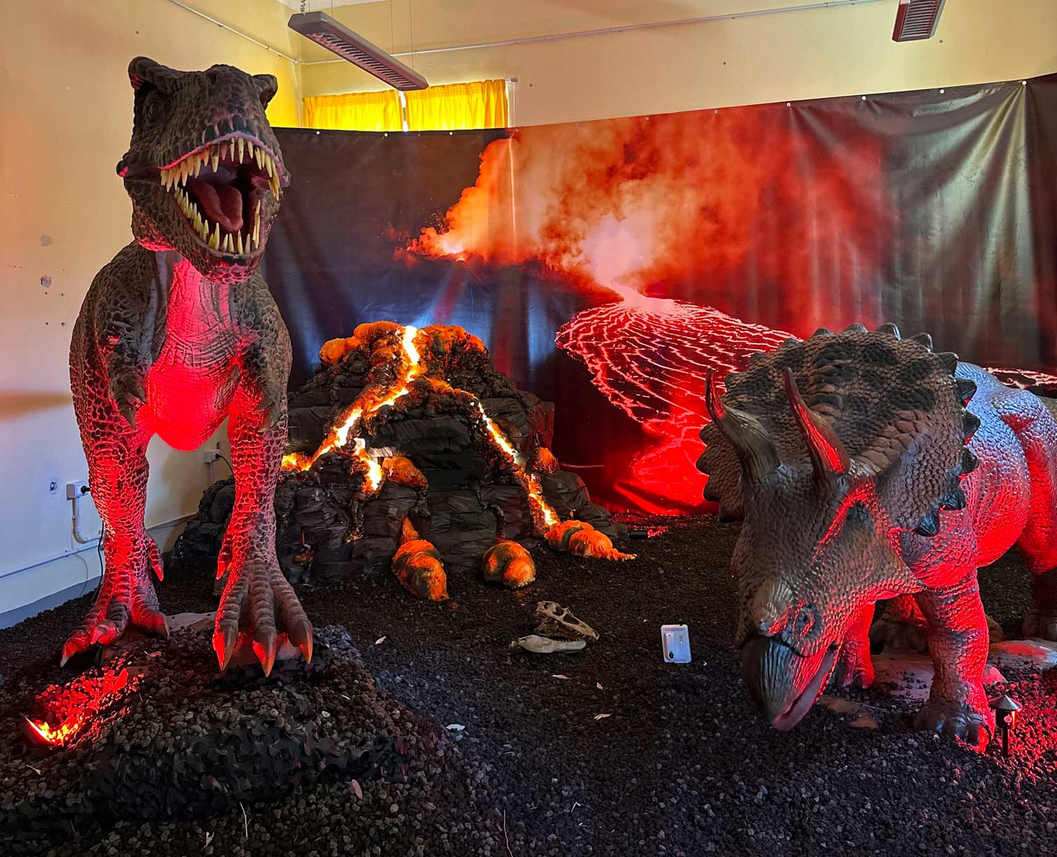 Discover dinosaurs in Porto Conte Park in Alghero - Photo 9
