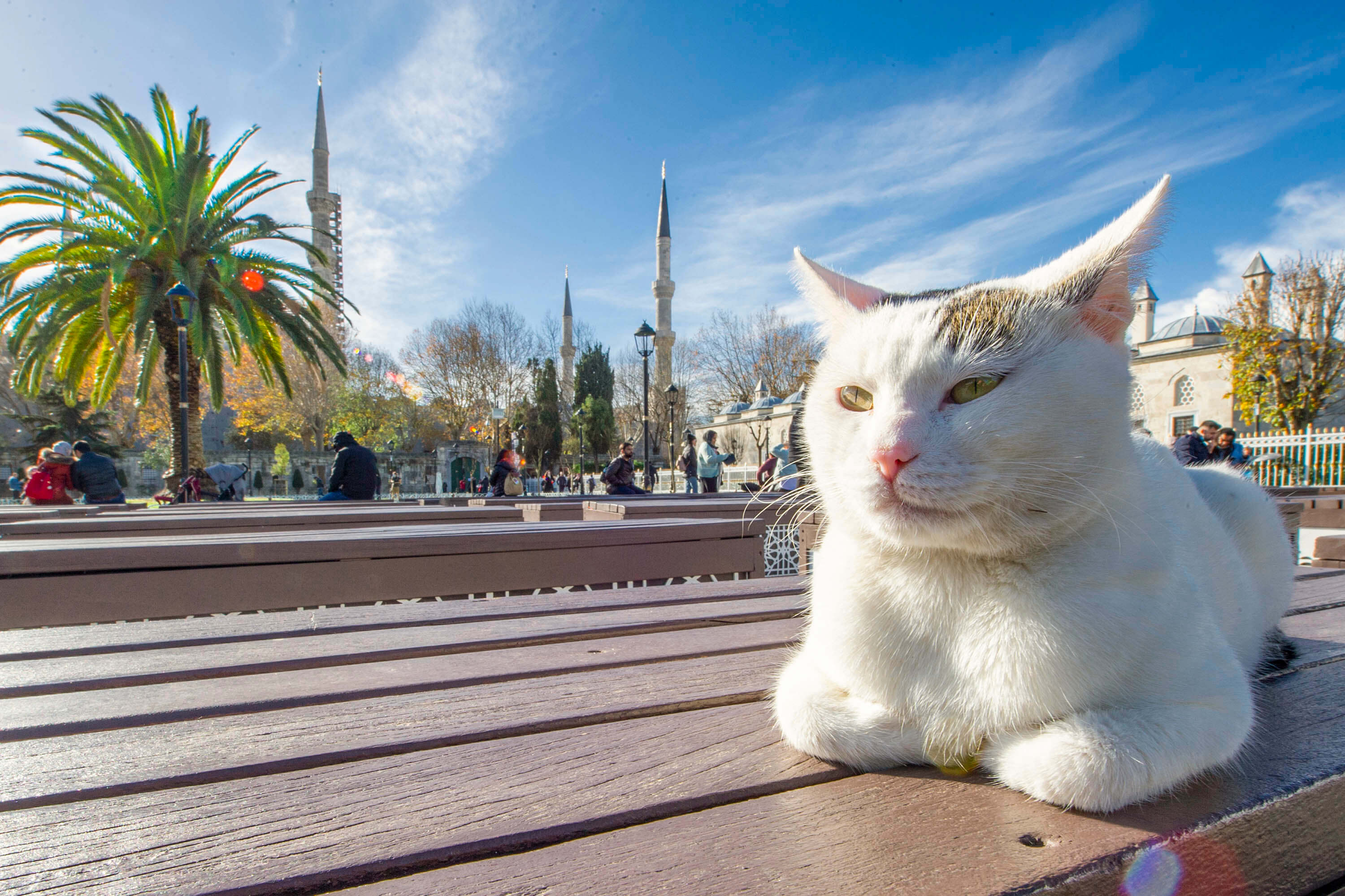 Istanbul: City Tour with Audio Guide in your smartphone