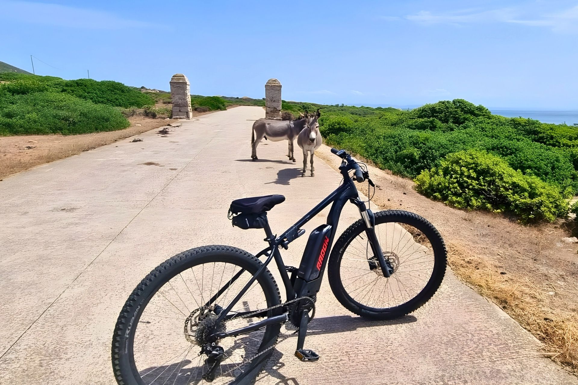 Rent an e-bike and discover Asinara from Porto Torres - Photo 10