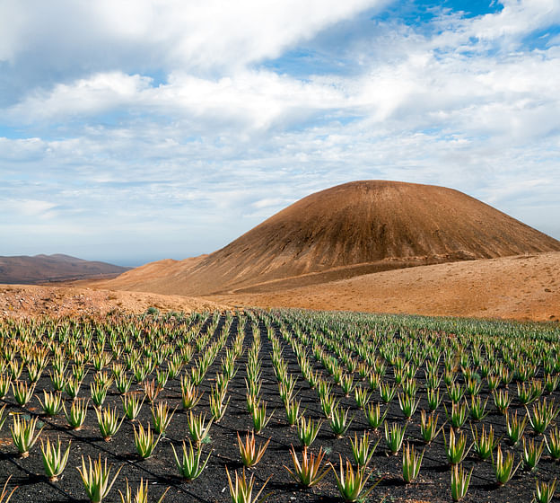Tour por el norte de Fuerteventura desde Lanzarote