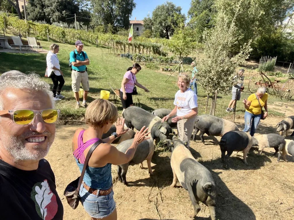 Cinta Senese Tour: discover an authentic Tuscan farmhouse - Photo 2