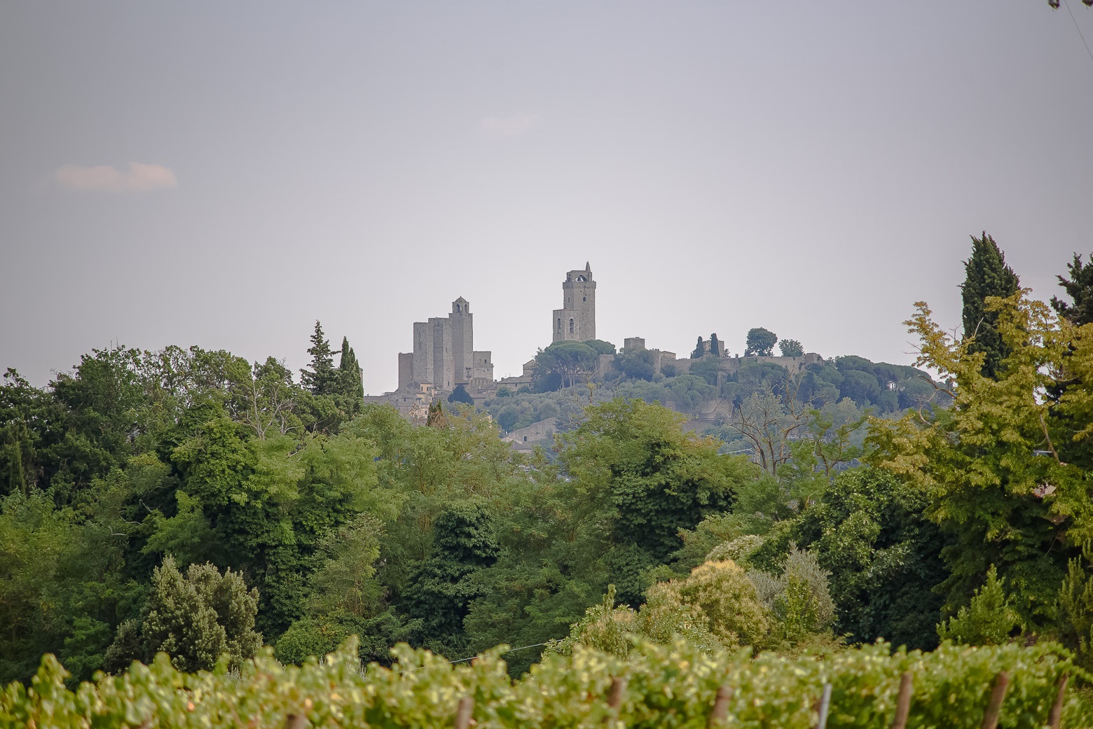 Small-Group Winery Tour with Tasting and Dinner in Chianti - Photo 138