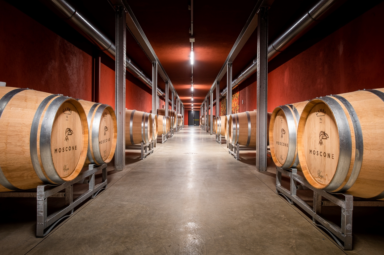 Explore & Savor: Dynamic Wine Tasting at Cantina Moscone - Photo 12