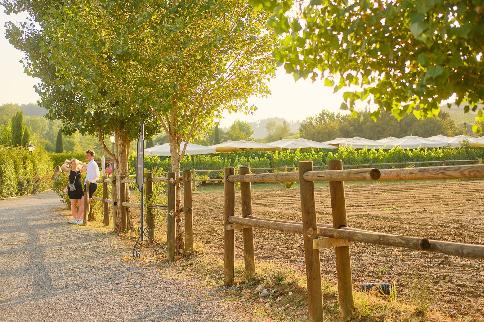 Small-Group Winery Tour with Tasting and Dinner in Chianti - Photo 63