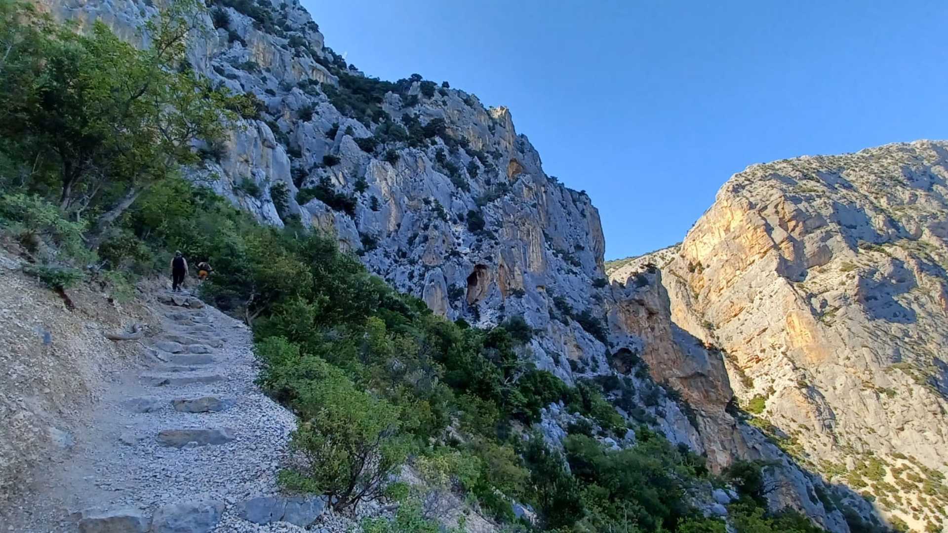 From Urzulei: trekking in the Gorropu canyon - Photo 8