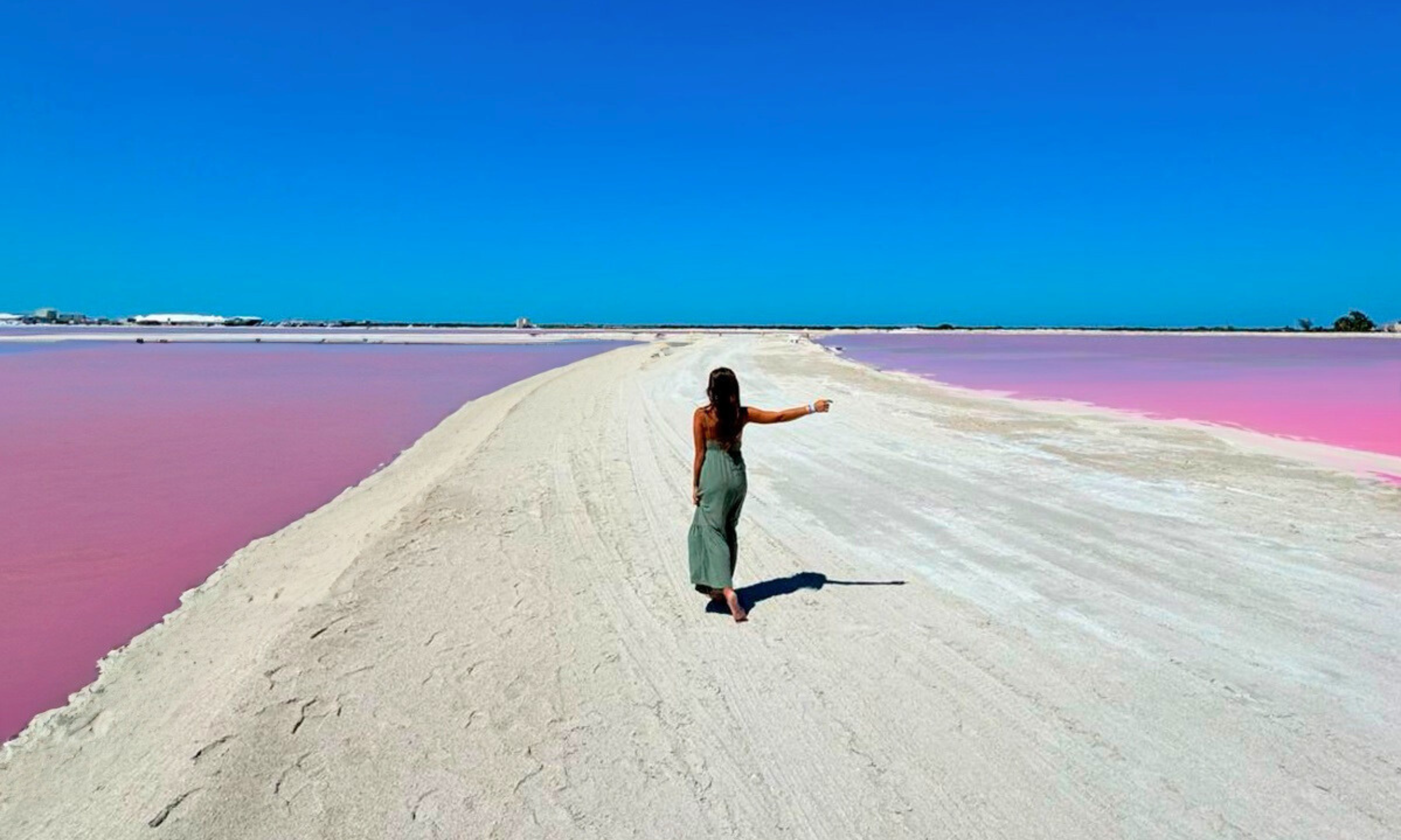 Desde Cancún: Rio Lagartos & Las Coloradas