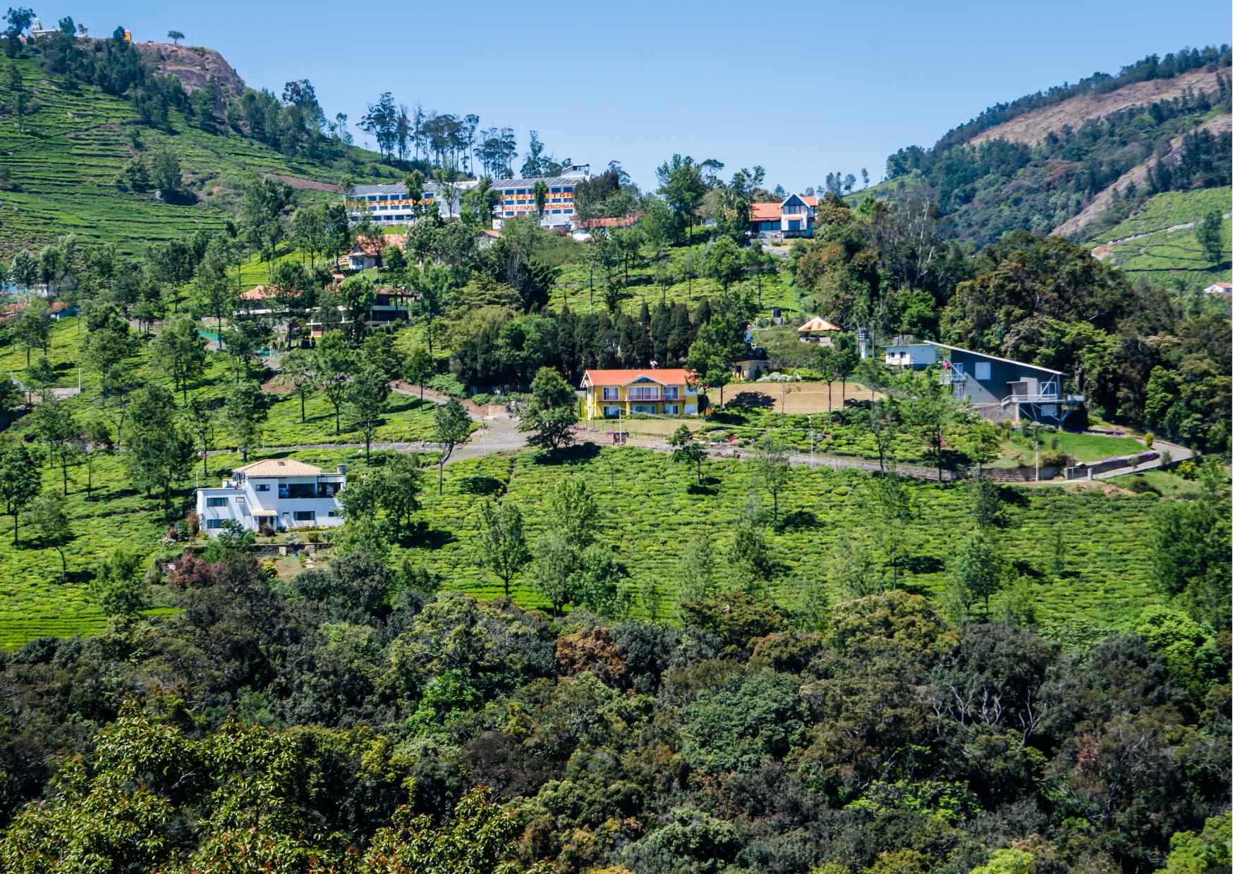 Muesum & Garden Tour of Ooty (4 Hours Guided Walking Tour) - Photo 8