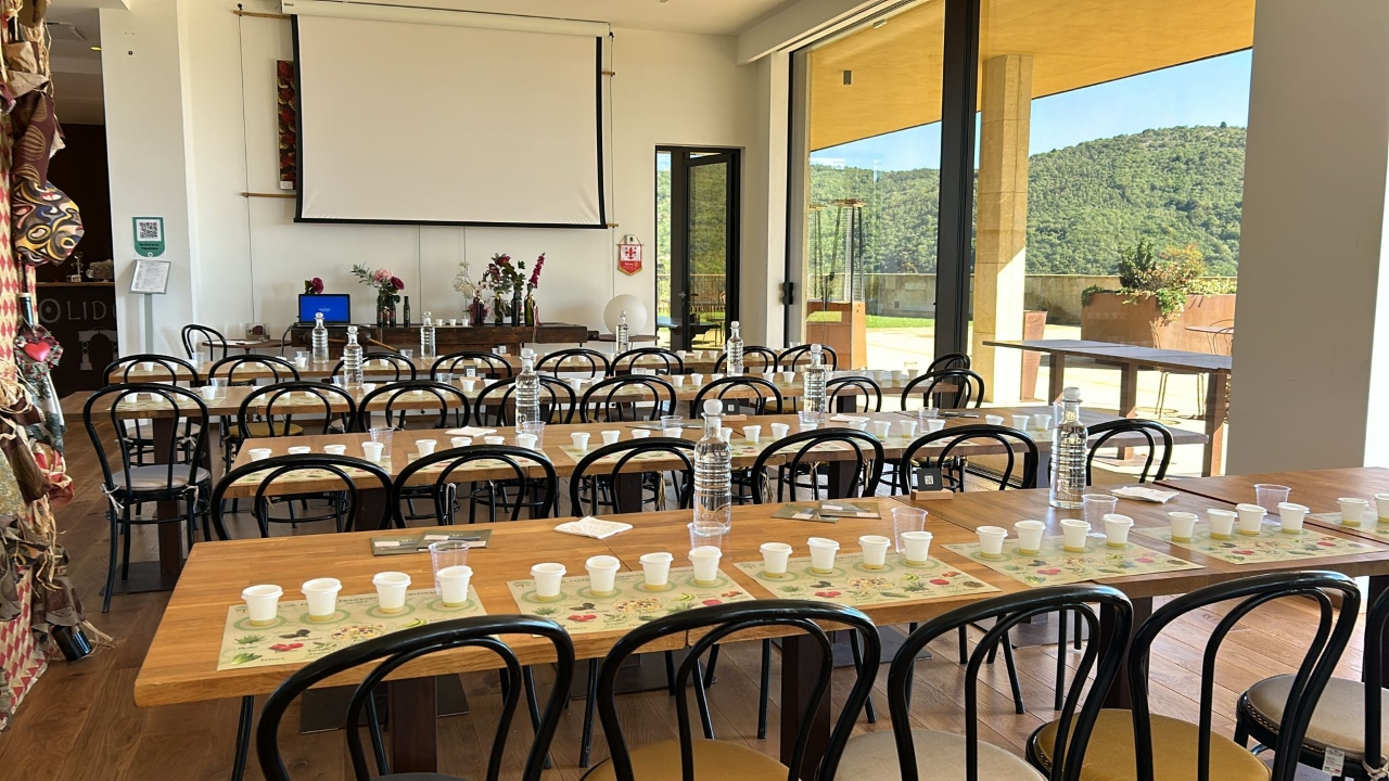 Fiesole: Olio Evo Bronze Experience at Frantoio Buonamici - Photo 11