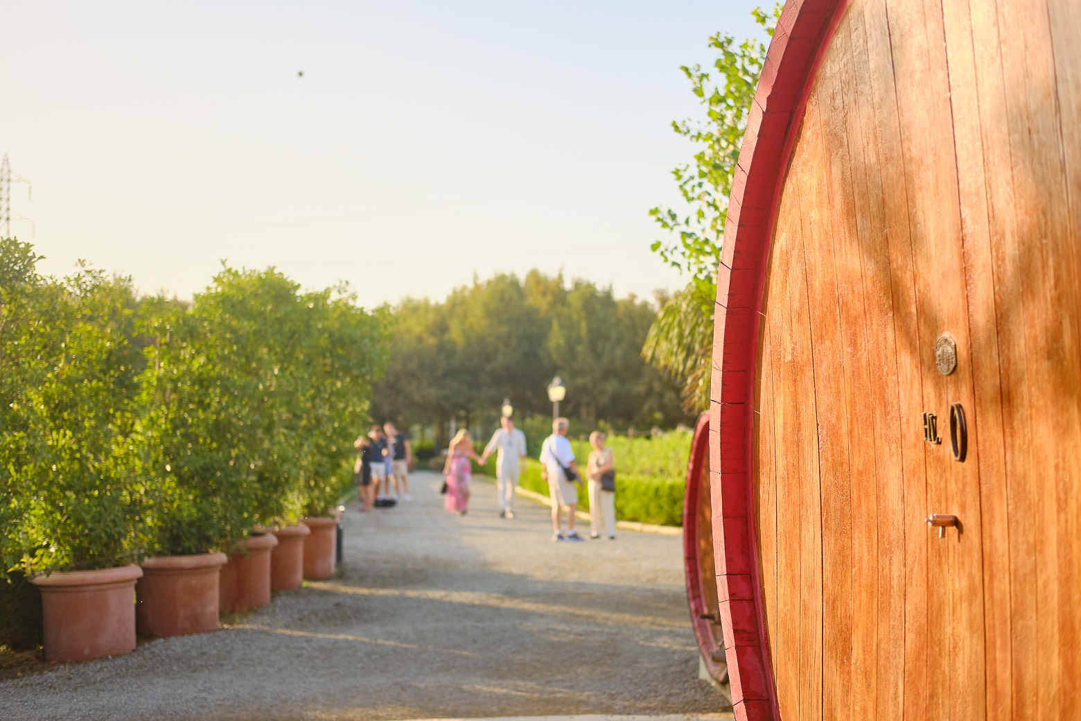 Small-Group Winery Tour with Tasting and Dinner in Chianti - Photo 65