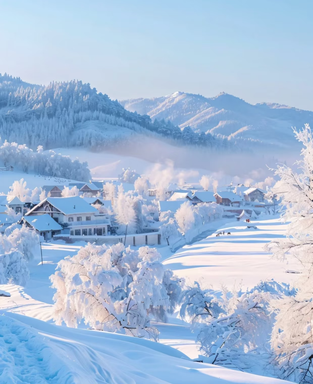 Harbin: Yabuli Ski Resort Beginner 3Hours Ski Ticket