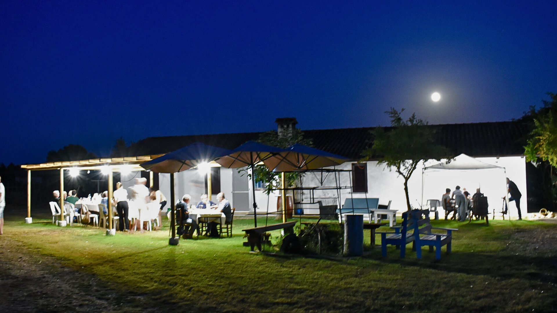 Alghero: lunch or dinner in the vineyard - Photo 6
