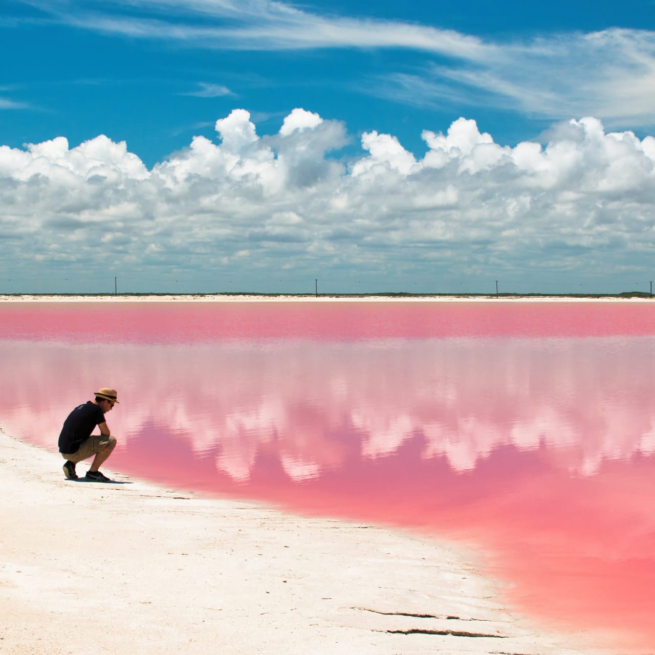 Excursion a las Coloradas y Río Lagartos — 13/17