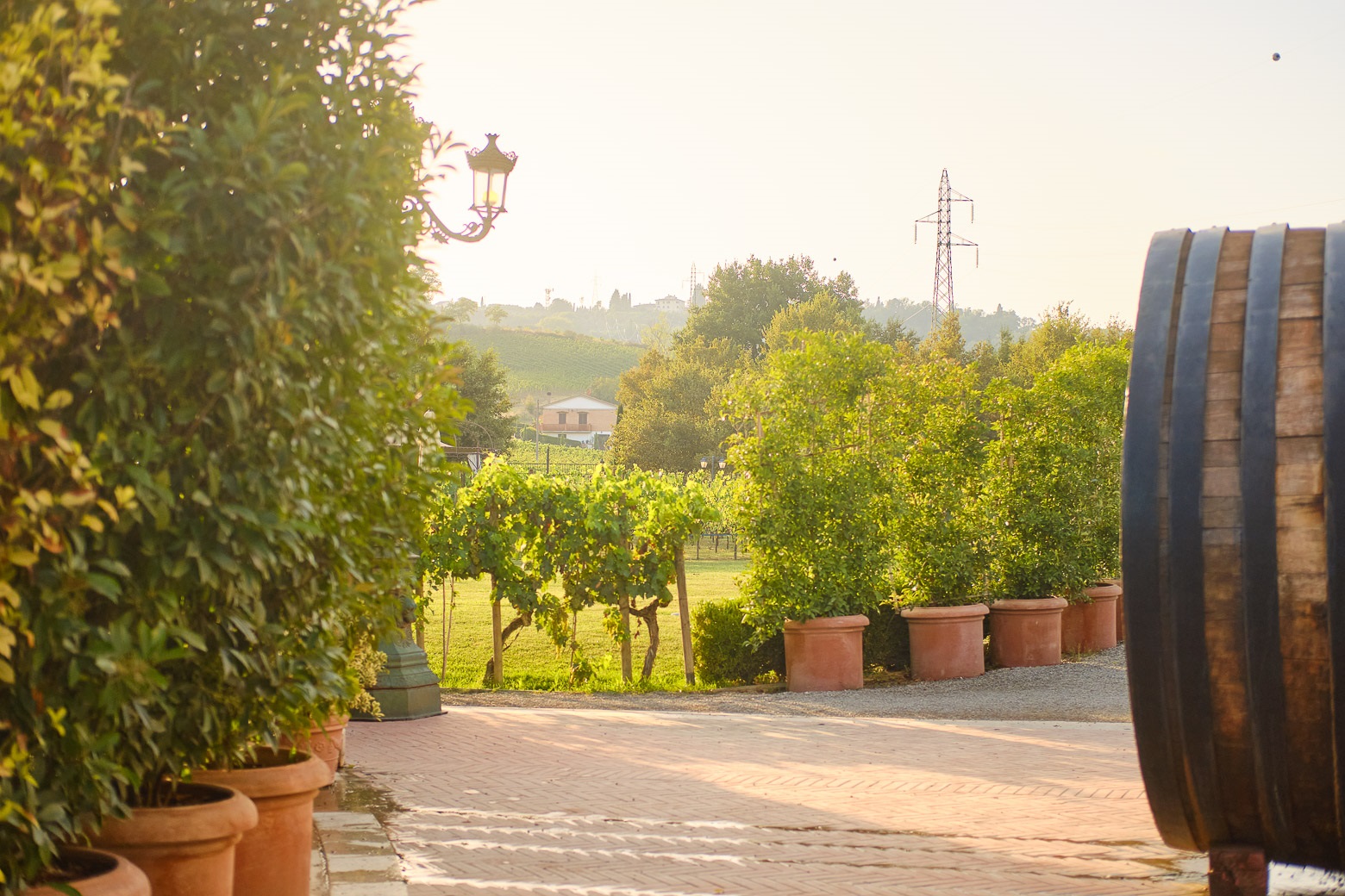 Small-Group Winery Tour with Tasting and Dinner in Chianti - Photo 64