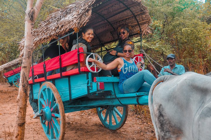 Wildlife and World Heritage Tour from Galle (2 Days)