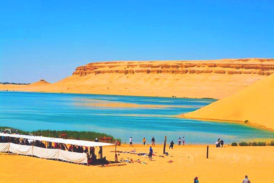 Al Fayoum Day Tour to Wadi Al Rayan and Wadi Hitan Al Fayoum Day Tour to Wadi Al Rayan and Wadi Hitan