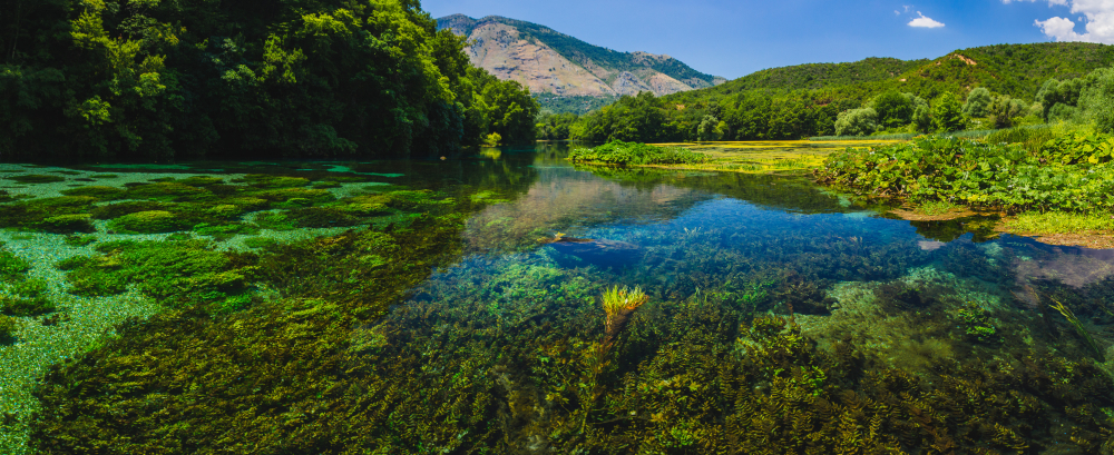 Day trip to the National Park of "Blue Eye" Small Group - from Saranda - Photo 3