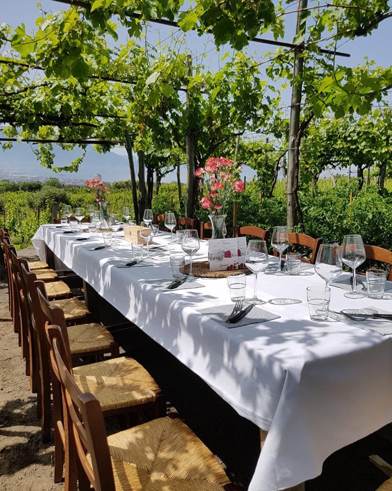 Dinner in the Vineyard at Sunset on the slopes of Vesuvius - Photo 6