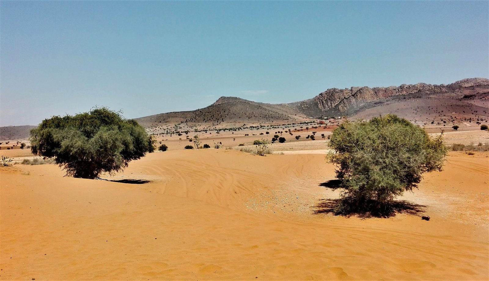 Mini Parque Nacional y Sáhara de Agadir: excursión guiada de un día