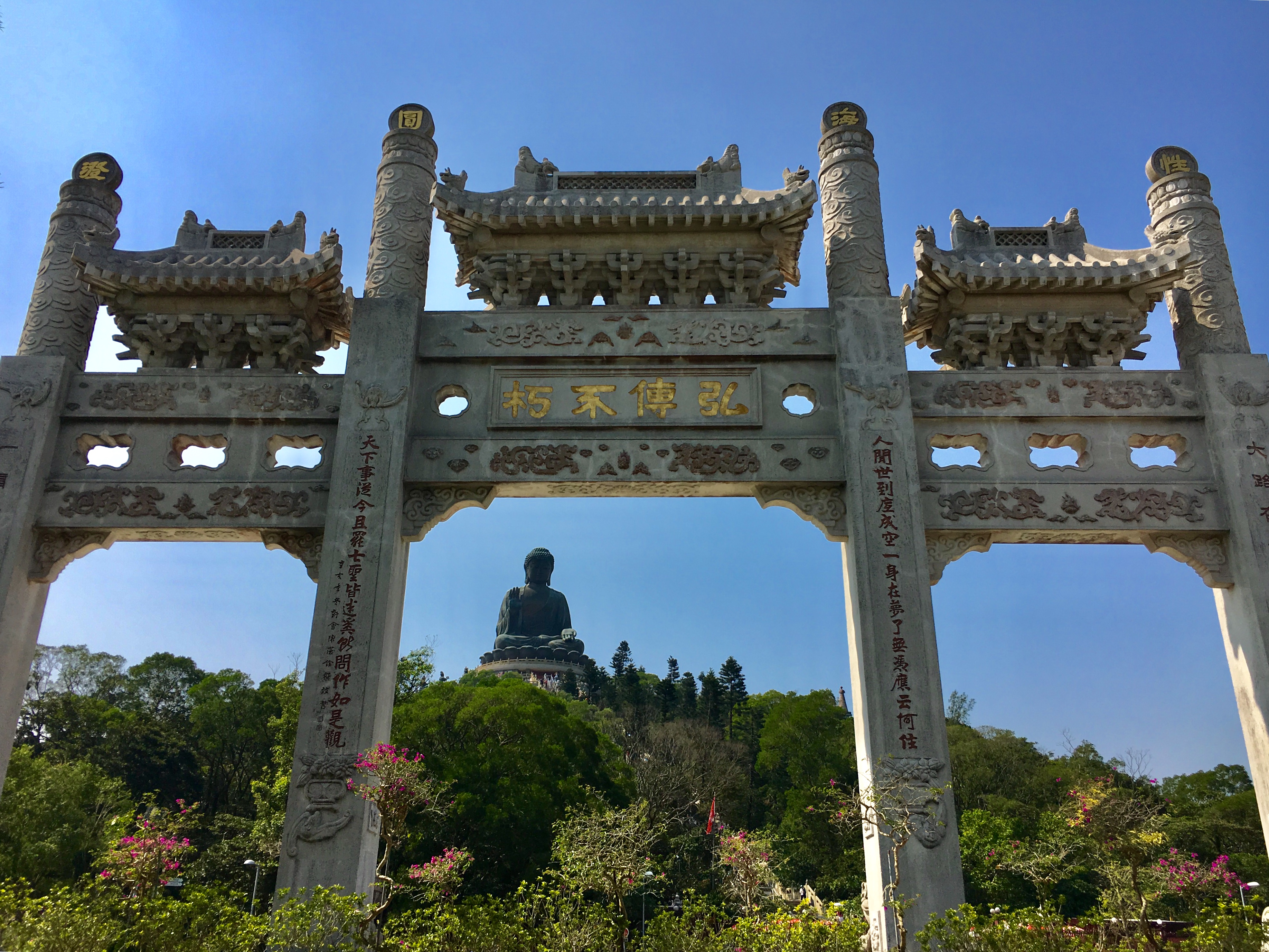 Cruise Layover Tour: Giant Buddha on Lantau Island in Private Service - Accommodations in Hong Kong