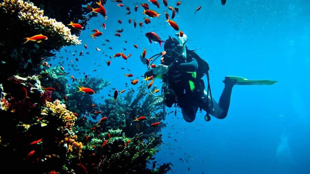 Aventura y almuerzo de buceo profundo profesional premium - Hurghada